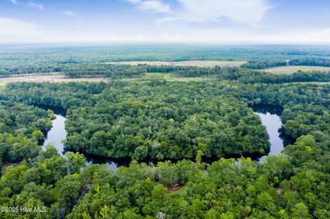 Tiny photo for 9 Mallard Roost Drive, Burgaw, NC 28425 (MLS # 100524705)