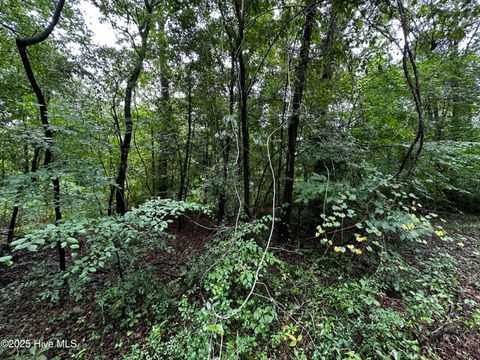 Tiny photo for 9 Mallard Roost Drive, Burgaw, NC 28425 (MLS # 100524705)