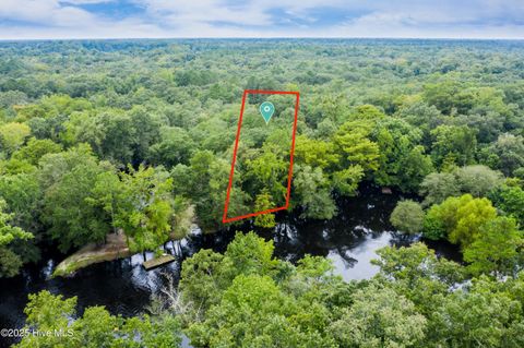 Tiny photo for 9 Mallard Roost Drive, Burgaw, NC 28425 (MLS # 100524705)