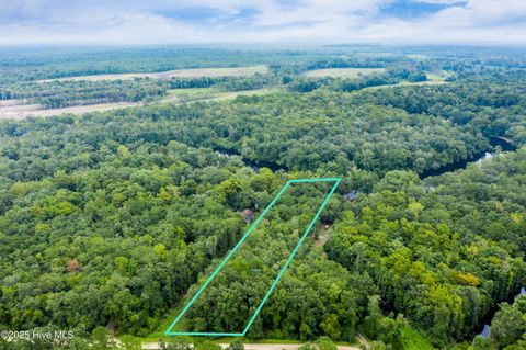 Tiny photo for 9 Mallard Roost Drive, Burgaw, NC 28425 (MLS # 100524705)