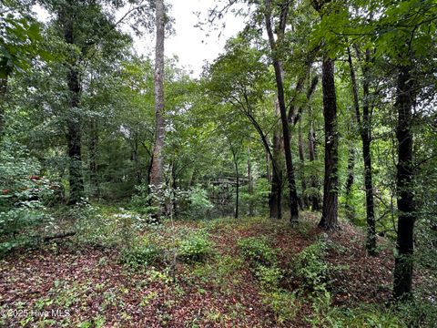 Tiny photo for 9 Mallard Roost Drive, Burgaw, NC 28425 (MLS # 100524705)