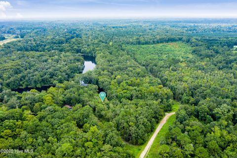 Tiny photo for 9 Mallard Roost Drive, Burgaw, NC 28425 (MLS # 100524705)