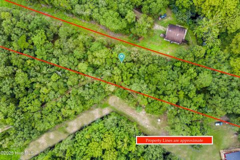 Tiny photo for 9 Mallard Roost Drive, Burgaw, NC 28425 (MLS # 100524705)