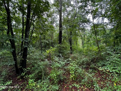 Tiny photo for 9 Mallard Roost Drive, Burgaw, NC 28425 (MLS # 100524705)