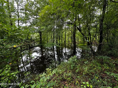 Tiny photo for 9 Mallard Roost Drive, Burgaw, NC 28425 (MLS # 100524705)