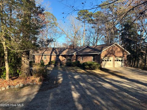 Photo of 150 Lewis Lane, Jackson, NC 27845 (MLS # 100543278)