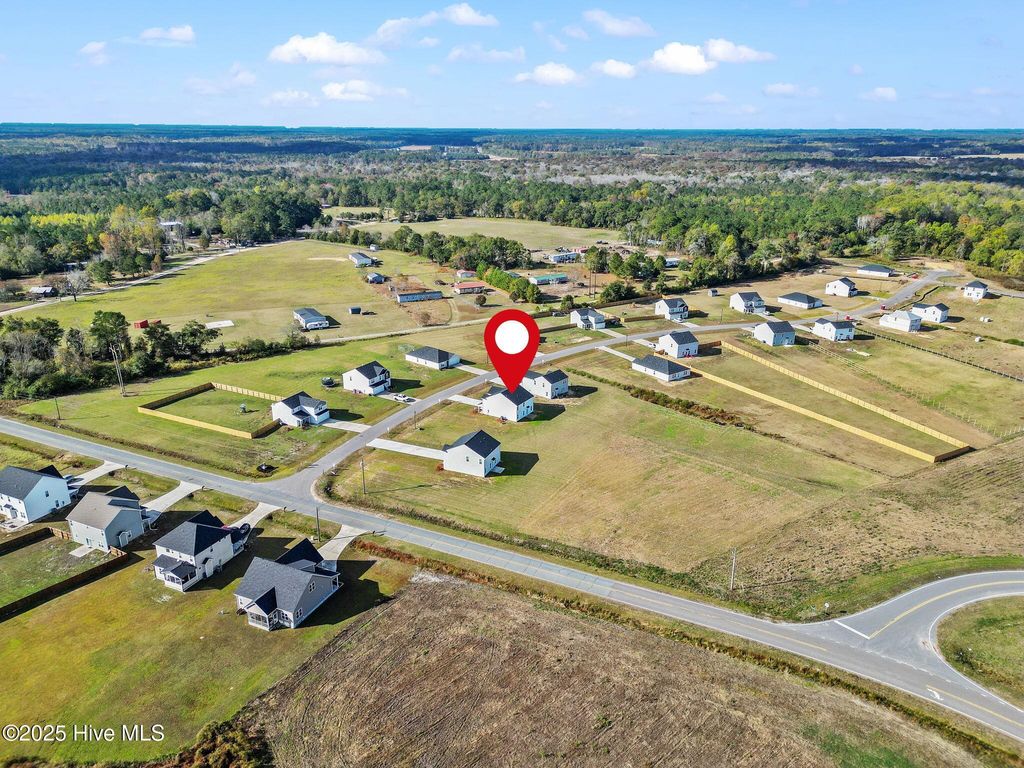 Photo of 20 Buggy Top Lane, Autryville, NC 28318 (MLS # 100539952)