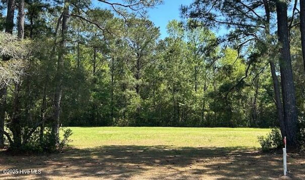Photo of 597 Lindgrove Place SW, Ocean Isle Beach, NC 28469 (MLS # 100510884)