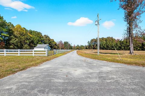 Tiny photo for 191 Sweet Lane, Richlands, NC 28574 (MLS # 100540143)