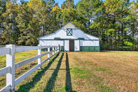 Tiny photo for 191 Sweet Lane, Richlands, NC 28574 (MLS # 100540143)