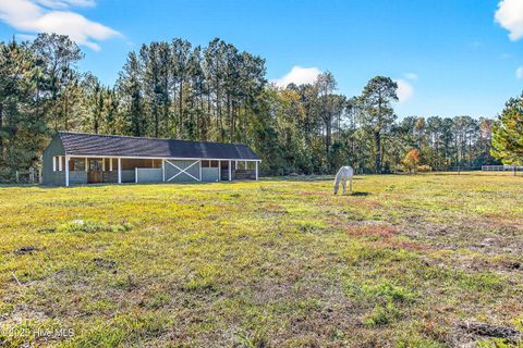 Tiny photo for 191 Sweet Lane, Richlands, NC 28574 (MLS # 100540143)