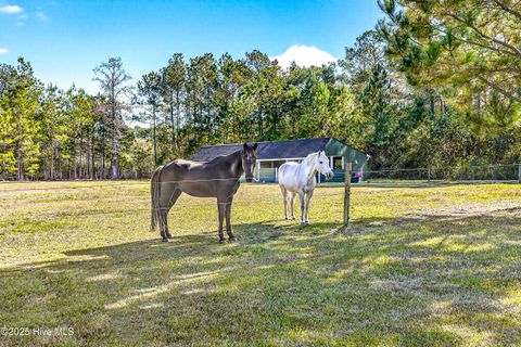 Tiny photo for 191 Sweet Lane, Richlands, NC 28574 (MLS # 100540143)
