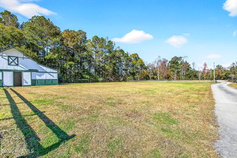 Tiny photo for 191 Sweet Lane, Richlands, NC 28574 (MLS # 100540143)