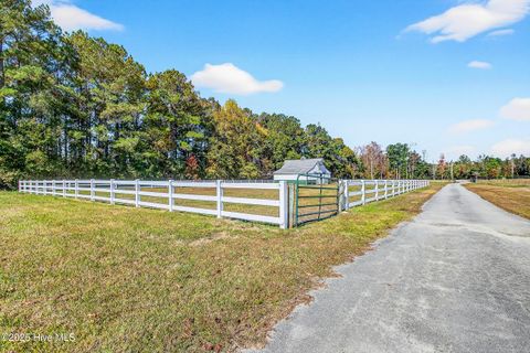 Tiny photo for 191 Sweet Lane, Richlands, NC 28574 (MLS # 100540143)