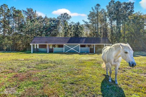 Tiny photo for 191 Sweet Lane, Richlands, NC 28574 (MLS # 100540143)