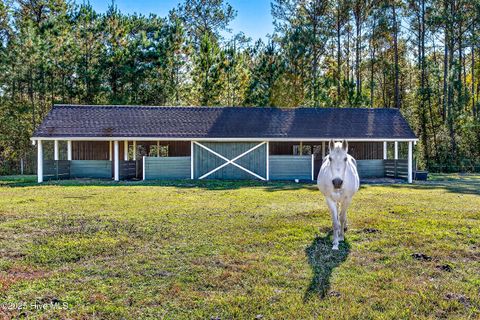 Tiny photo for 191 Sweet Lane, Richlands, NC 28574 (MLS # 100540143)