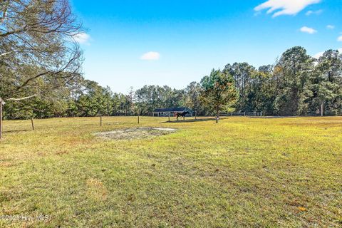 Tiny photo for 191 Sweet Lane, Richlands, NC 28574 (MLS # 100540143)