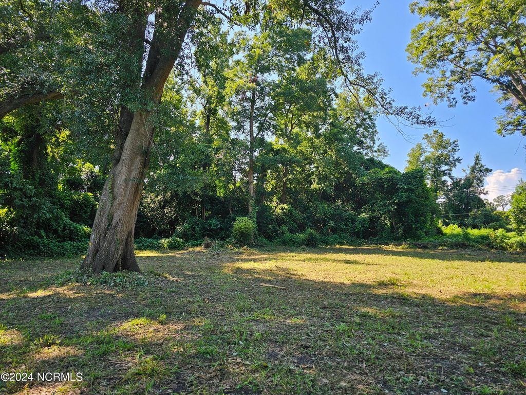 Photo of 1508 Wynnwood Street, Wilmington, NC 28401 (MLS # 100471942)