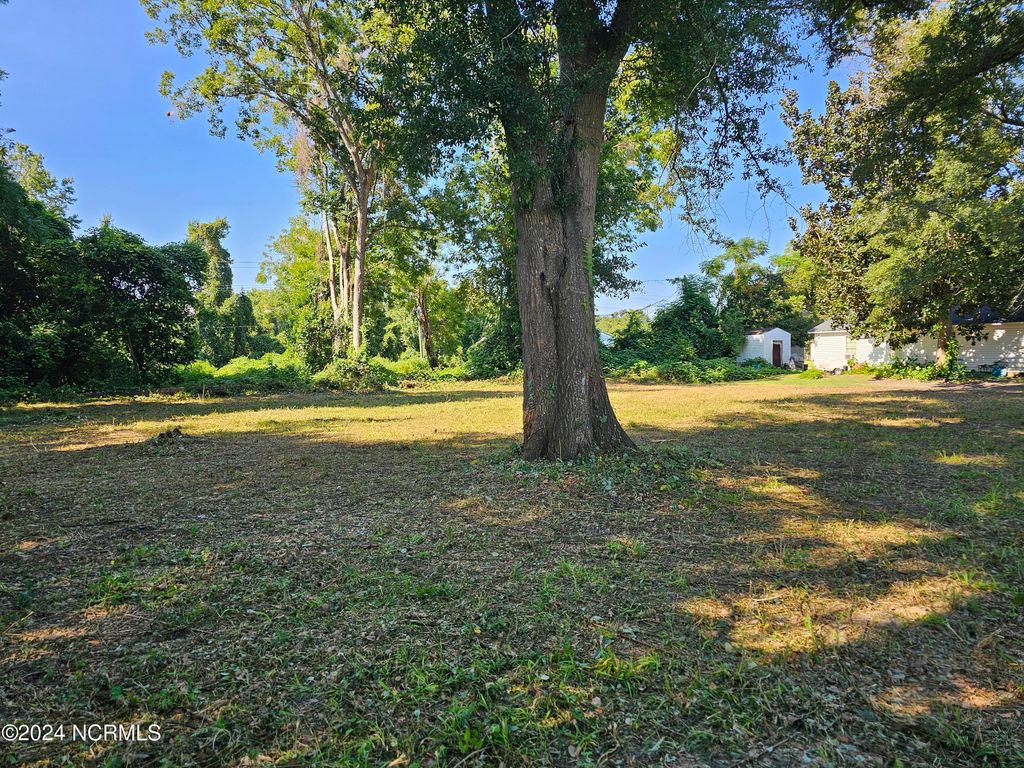 Photo of 1508 Wynnwood Street, Wilmington, NC 28401 (MLS # 100471942)