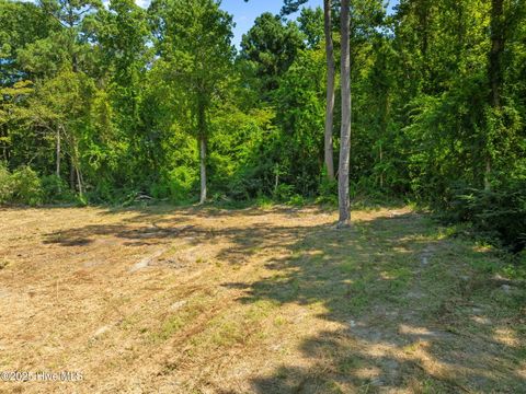 Tiny photo for 124 Jupiter Trail, Jacksonville, NC 28546 (MLS # 100529346)