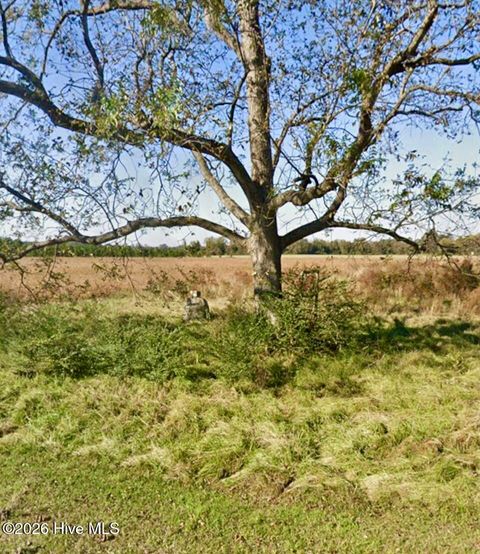 223 N Blizzard Town Road Beulaville NC 28518