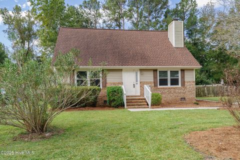 Photo of 506 Old Mill Road, Castle Hayne, NC 28429 (MLS # 100536599)