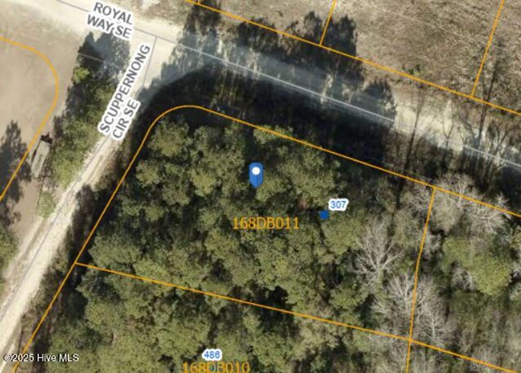 Photo of 307 Royal Way SE, Bolivia, NC 28422 (MLS # 100533247)
