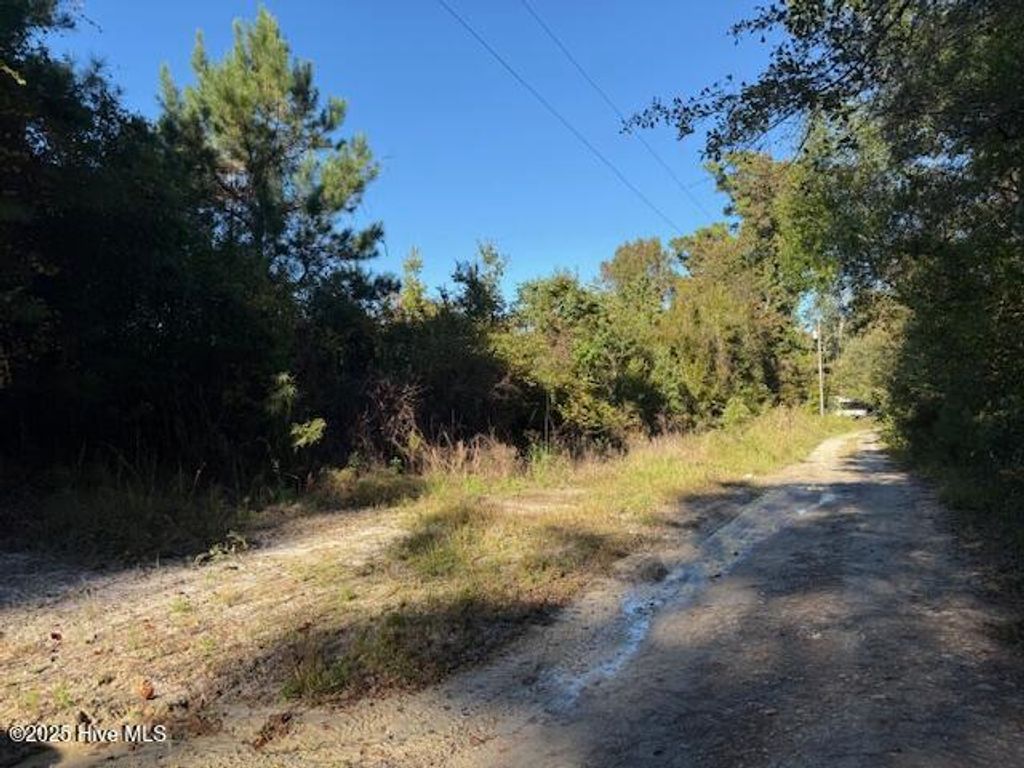 Photo of 0 Knight Way SE, Winnabow, NC 28479 (MLS # 100542829)