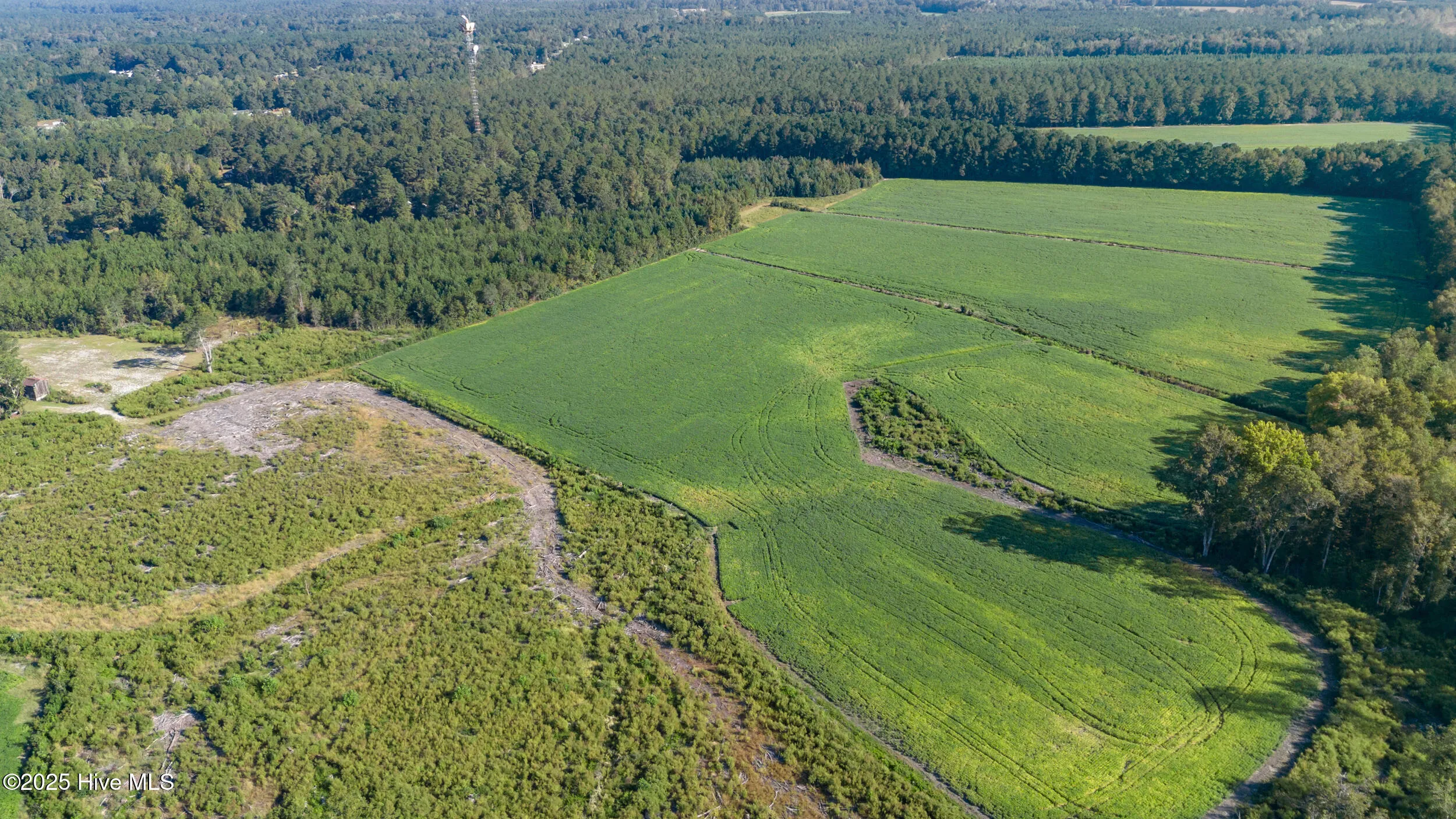 Currie, North Carolina 28435, United States, 2 Bedrooms Bedrooms, ,1 BathroomBathrooms,Residential,Active,215142