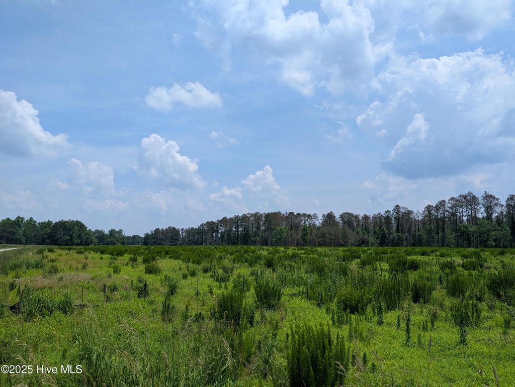 Photo of 000 Cedar Fork Road, Beulaville, NC 28518 (MLS # 100515592)