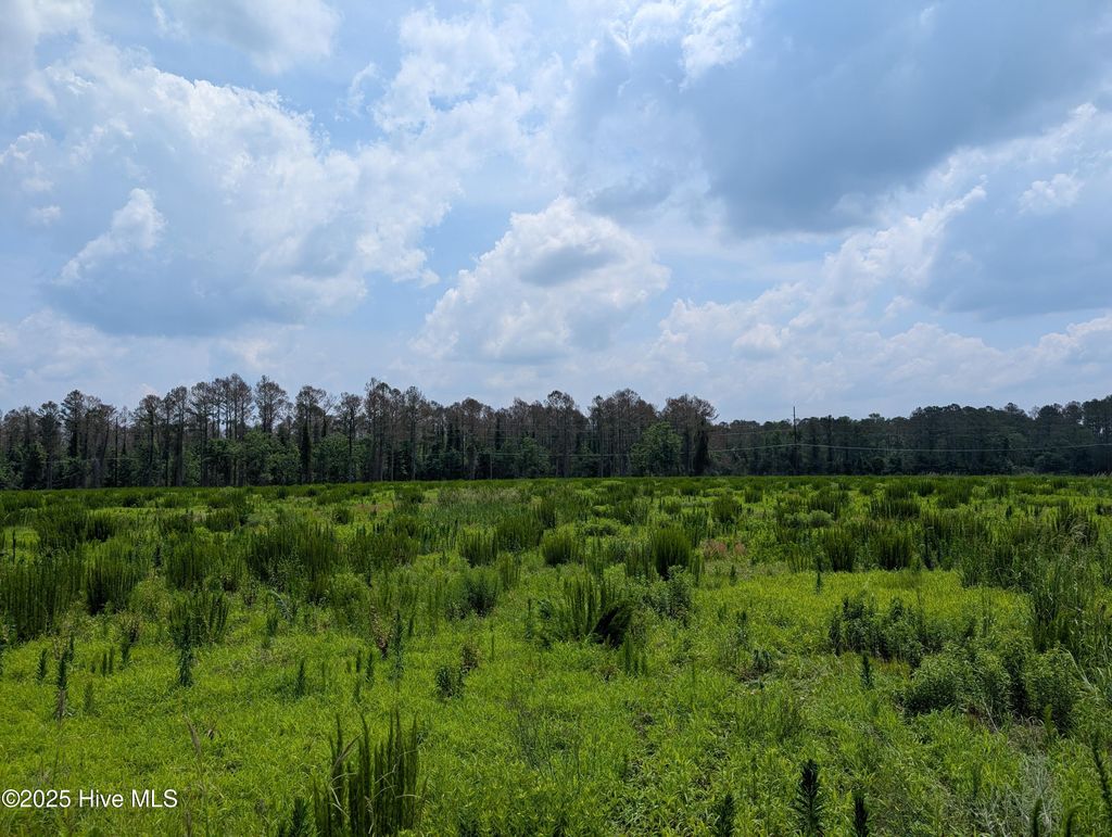 Photo of 000 Cedar Fork Road, Beulaville, NC 28518 (MLS # 100515592)