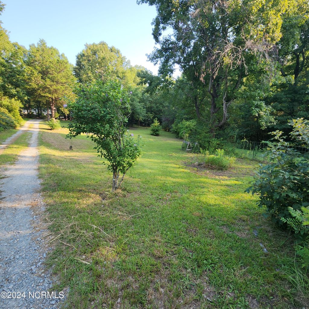 Photo of 471 Turlington Drive, Benson, NC 27504 (MLS # 100526012)
