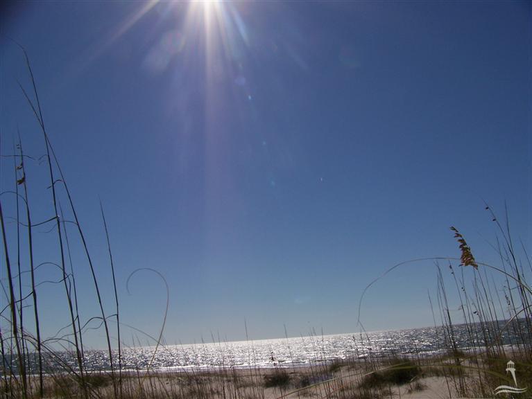 702 Shoals Watch Way