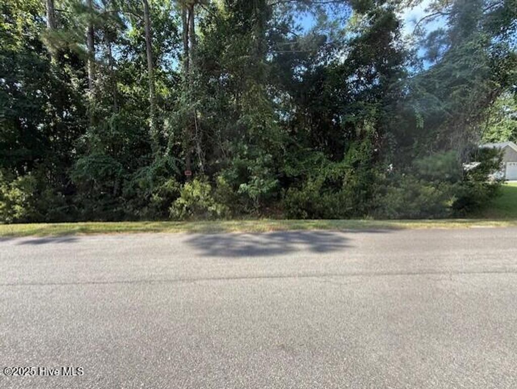 Photo of 0 Cordgrass Road, Hampstead, NC 28443 (MLS # 100520116)