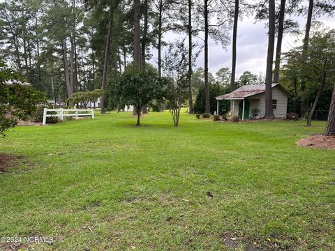 A home in Williamston