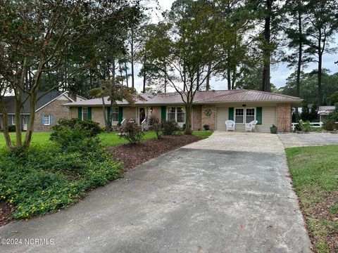 A home in Williamston