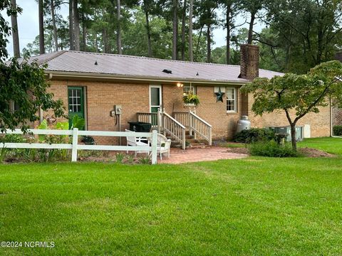 A home in Williamston