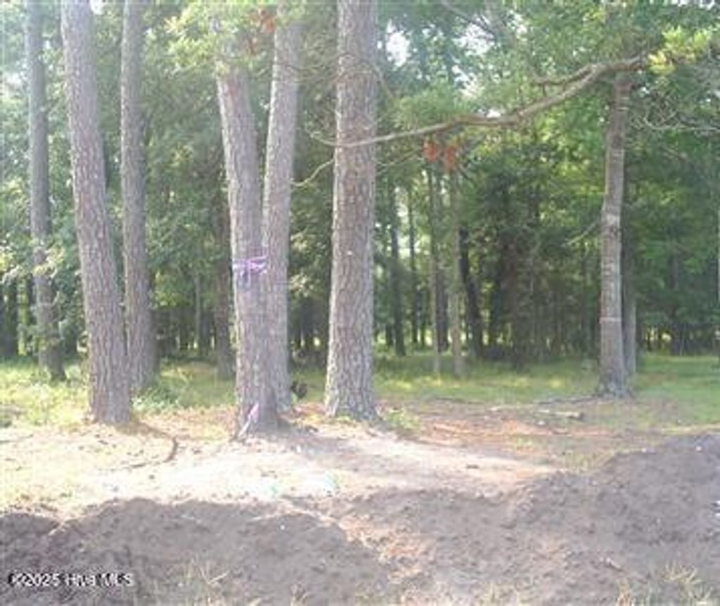Photo of 6071 Martinique Street SW, Ocean Isle Beach, NC 28469 (MLS # 100536569)