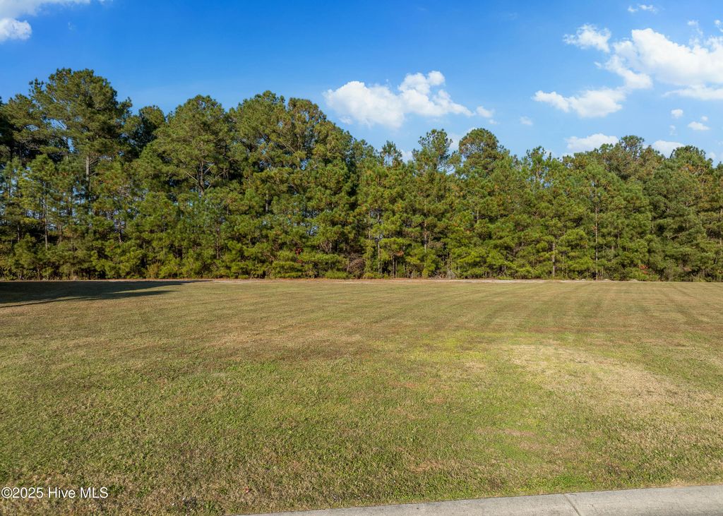 Photo of 193 Twining Rose Lane, Holly Ridge, NC 28445 (MLS # 100542929)