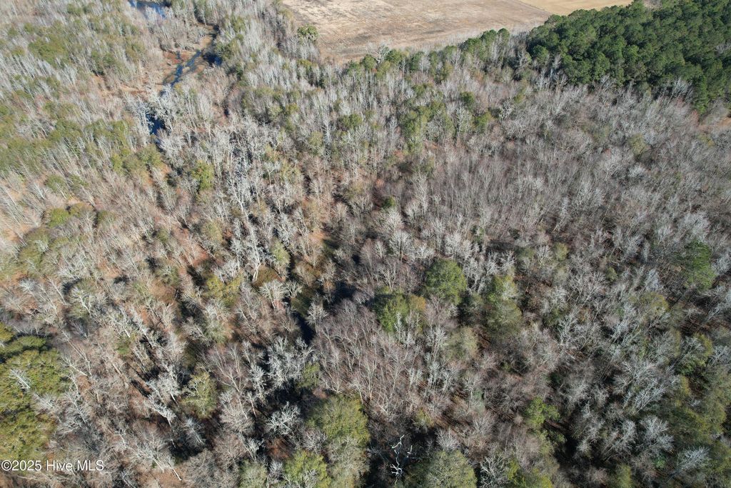 Photo of 0 Macedonia Church Road, Evergreen, NC 28438 (MLS # 100544355)