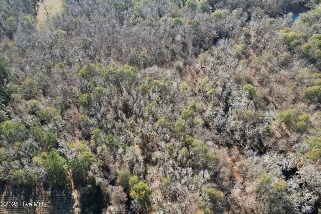 Photo of 0 Macedonia Church Road, Evergreen, NC 28438 (MLS # 100544355)