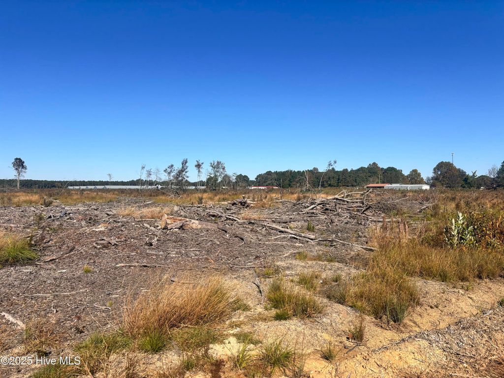 Photo of 0 Shipp Road, Clinton, NC 28328 (MLS # 100539114)