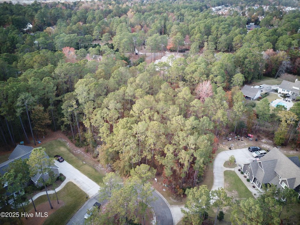 Photo of 10209 Wildlife Drive SE, Leland, NC 28451 (MLS # 100541965)