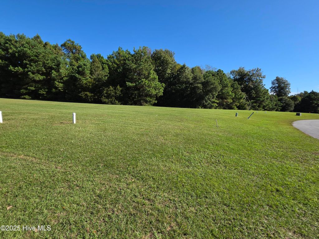 Photo of 201 Marshside Landing, Holly Ridge, NC 28445 (MLS # 100535655)