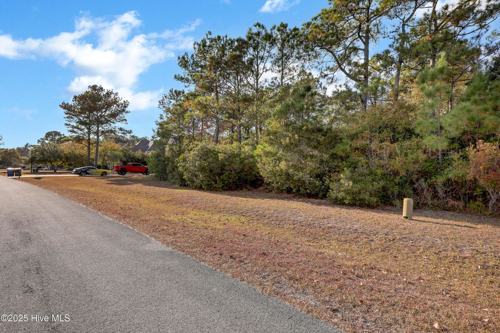 Photo of 109 Shoveler Court, Sneads Ferry, NC 28460 (MLS # 100542964)