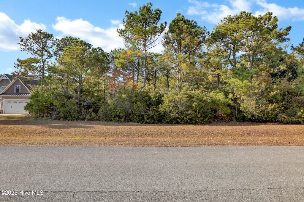 Photo of 109 Shoveler Court, Sneads Ferry, NC 28460 (MLS # 100542964)