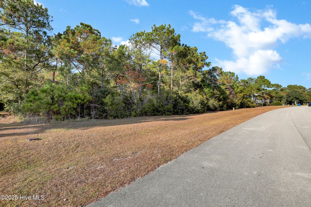 Photo of 109 Shoveler Court, Sneads Ferry, NC 28460 (MLS # 100542964)