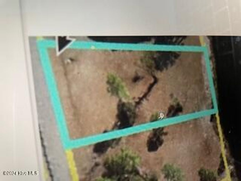 Photo of 280 S Horsepen Drive, Harrells, NC 28444 (MLS # 100475503)