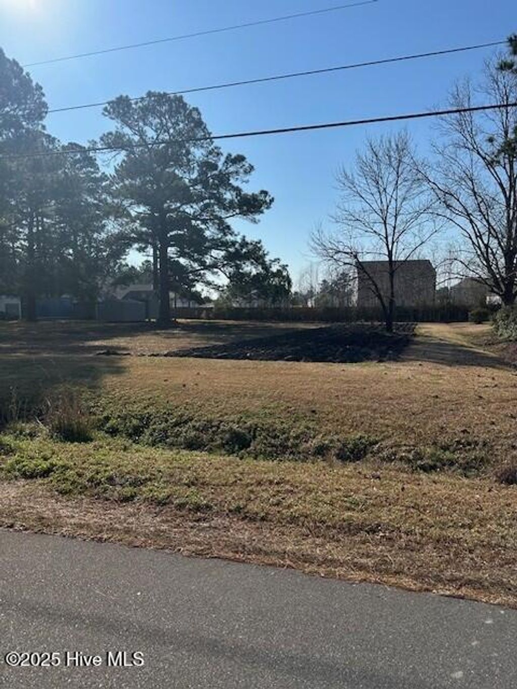 Photo of 164 Horne Place Drive, Wilmington, NC 28401 (MLS # 100491430)