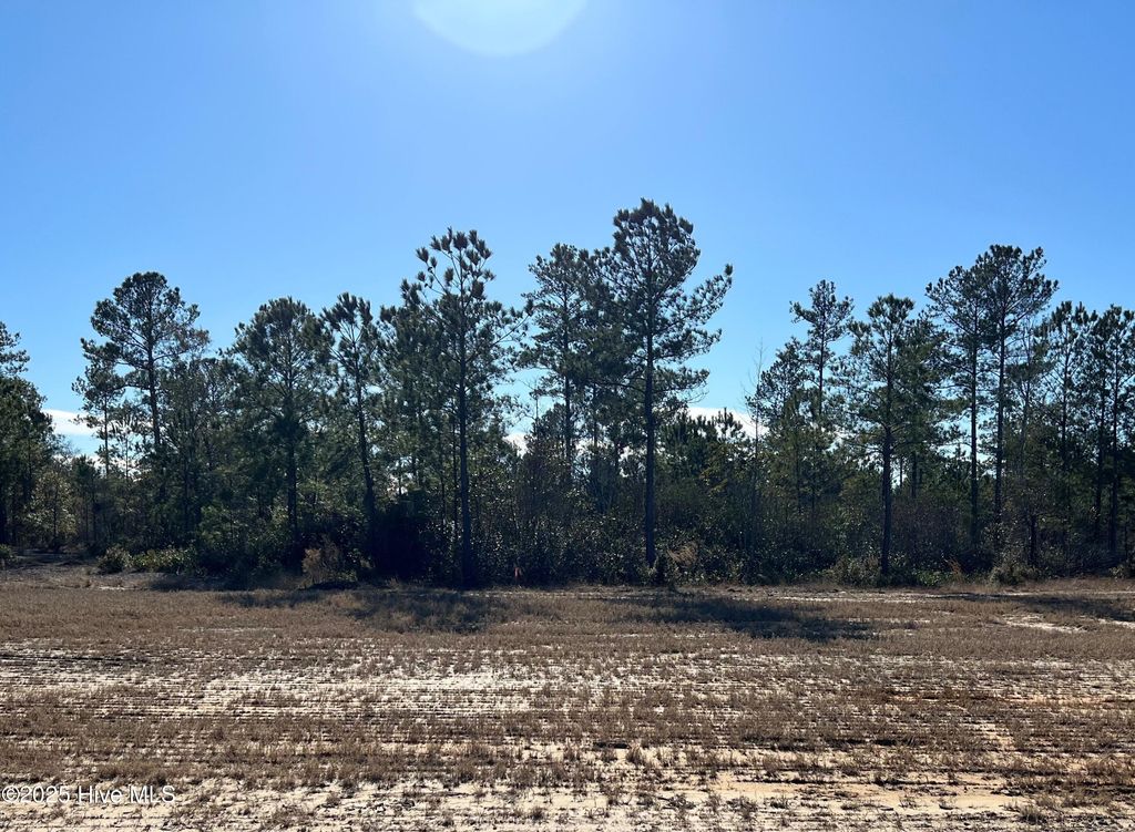 Photo of 2940 W Timber Crest Lane NE, Leland, NC 28451 (MLS # 100485660)